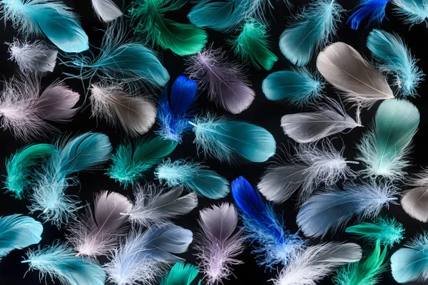 Fundo Sem Costura Com Plumas Coloridas Isoladas Preto — Fotografia de Stock