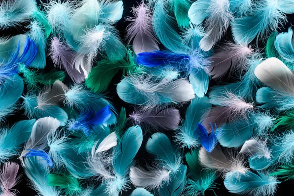 Seamless Background Colorful Feathers Isolated Black — Stock Photo, Image