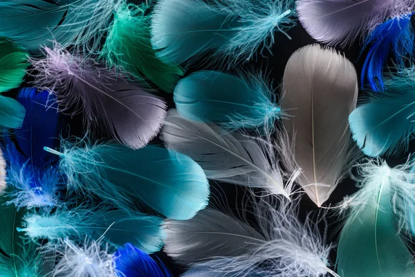 Seamless Background Multicolored Light Feathers Isolated Black — Stock Photo, Image