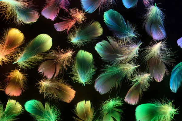 Бесшовный Фон Неоновых Разноцветных Мягких Перьев Изолированных Черном — стоковое фото