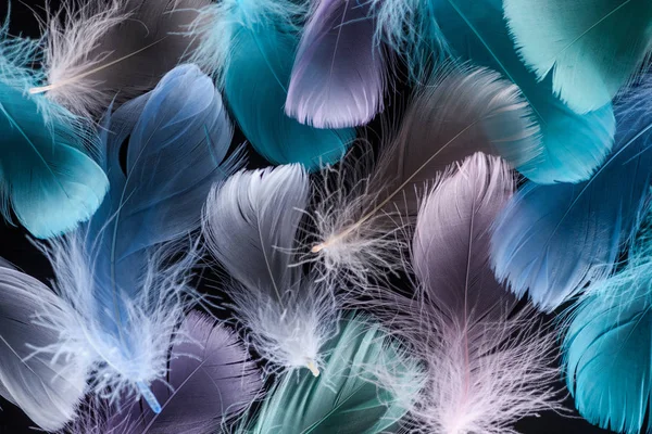 Seamless Background Light Green Purple Blue Feathers Isolated Black — Stock Photo, Image