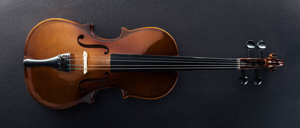 вид классической виолончели на черном фоне
 