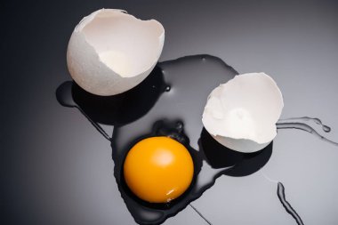 siyah arka planda taze ezilmiş tavuk yumurtası, sarısı, protein ve yumurta kabuğu ile yakın