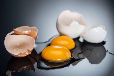siyah arka planda çiğ ezilmiş tavuk yumurtası sarısı, proteinler ve yumurta kabuğu seçici odak