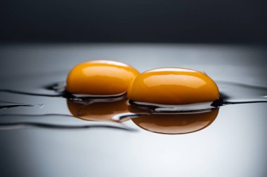 siyah üzerinde izole çiğ tavuk sarısı ve proteinleri yakın