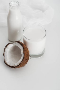 Organik Vegan Hindistan cevizi sütü cam ve şişe yakın Hindistan cevizi yarısı ve sşloth gri arka planda