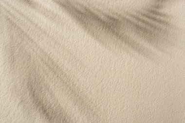 top view of beige sandy background with shadow and copy space clipart