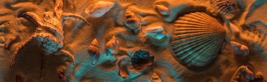panoramic shot of seashells and starfish on sand with orange and blue lights clipart