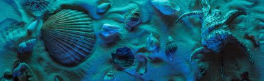 panoramic shot of seashells on sand with blue light clipart