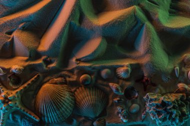 deniz kabukları, denizyıldızı, turuncu, yeşil ve mavi ışıklar ve kopyalama alanı ile dokulu kum üzerinde mercan üst görünümü