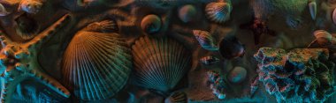 panoramic shot of seashells, starfish, sea stones and corals on sand with orange and blue lights
