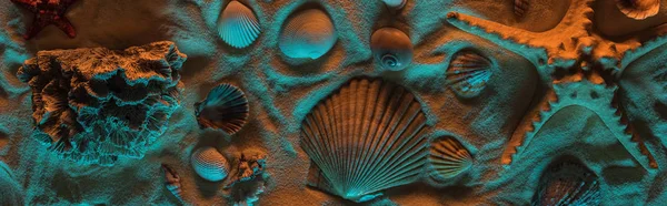 Panoramic Shot Seashells Starfish Sea Stones Corals Sand Orange Blue — Stock Photo, Image