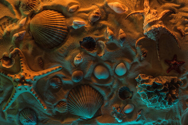 top view of seashells, starfish, sea stones and corals on sand with orange and blue lights