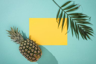 ananas üst görünümü, tropikal yaprak ve turkuaz arka plan üzerinde kopya alanı ile sarı kart