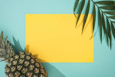 ananas üst görünümü, tropikal yaprak ve turkuaz arka plan üzerinde kopya alanı ile sarı kart