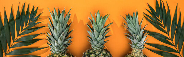 panoramic shot of pineapples and tropical leaves on orange background