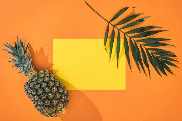 热带叶和黄牌的顶视图 橙色背景上有复制空间 — 图库照片