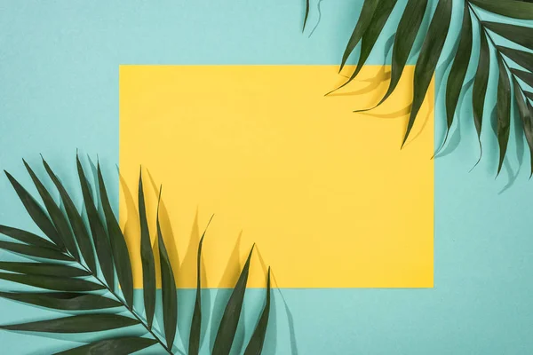 热带叶子和黄牌的顶视图 在绿松石背景上复制空间 — 图库照片