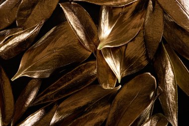 siyah izole altın parlak metal dekoratif yaprakları üst görünümü