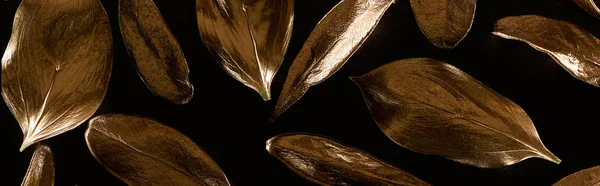 Panoramic Shot Golden Metal Decorative Leaves Isolated Black — Stock Photo, Image