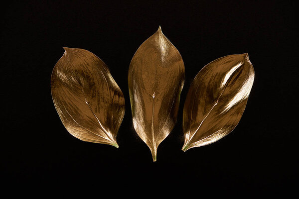 top view of three golden metal decorative leaves isolated on black