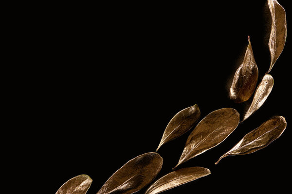 top view of golden metal decorative leaves isolated on black with copy space
