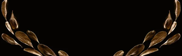 Панорамний Знімок Золотого Декоративного Листя Ізольовано Чорному Копіювальним Простором — стокове фото