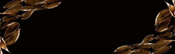 panoramic shot of gold leaves isolated on black with copy space