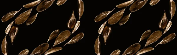 Панорамний Знімок Блискучого Золотистого Металу Декоративного Листя Ізольовані Чорному — стокове фото