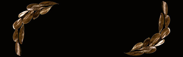 panoramic shot of branches with golden metal decorative leaves isolated on black