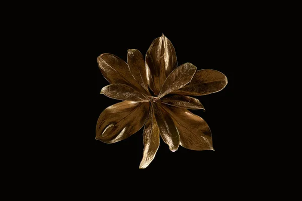 Κορυφαία Θέα Από Χρυσό Μεταλλικό Λουλούδι Απομονώνεται Μαύρο — Φωτογραφία Αρχείου