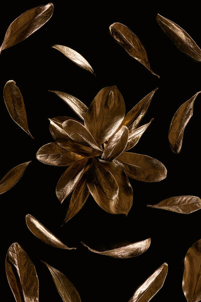 top view of gold metal flower with leaves isolated on black