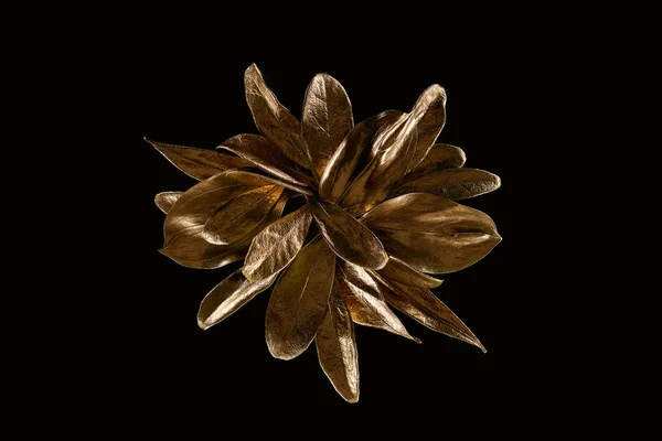 Pohled Zlatou Lesklou Kovovou Květinu Izolovanou Černém — Stock fotografie