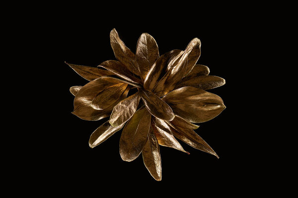top view of golden shiny metal flower isolated on black