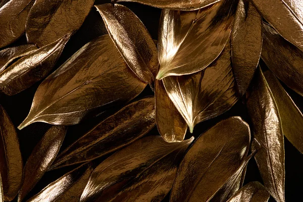 Top View Gold Shiny Metal Decorative Leaves Isolated Black — Stock Photo, Image