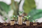 rendezett érmék zöld levelek és a talaj, a pénzügyi növekedés fogalma
