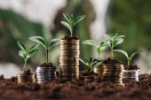 ezüst és arany érmék zöld levelekkel és talajjal, pénzügyi növekedési koncepció