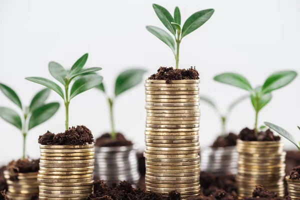 Monedas Con Hojas Verdes Suelo Aislado Blanco Concepto Crecimiento Financiero — Foto de Stock