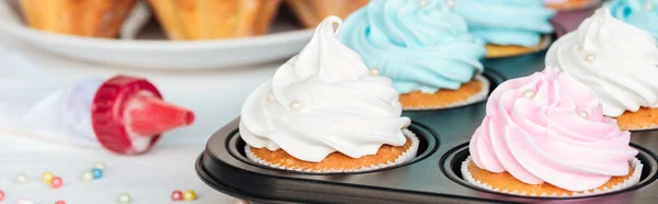 Panoramic Shot Colorful Delicious Cupcakes Cupcake Tray — Stock Photo, Image