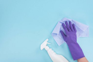 mavi arka plan üzerinde deterjan ile sprey şişesi yakınında bez tutan mor kauçuk eldiven temizleyici kırpılmış görünümü