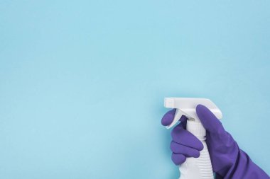mavi arka plan üzerinde deterjan ile sprey şişesi tutan mor kauçuk eldiven temizleyici kırpılmış görünümü