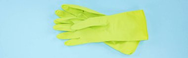 panoramic shot of bright green rubber gloves on blue background clipart