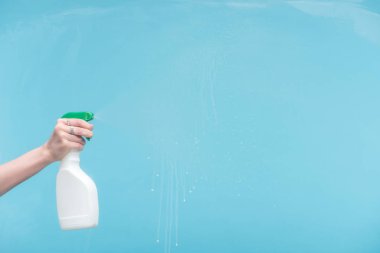 cropped view of woman spraying glass with detergent on blue background clipart