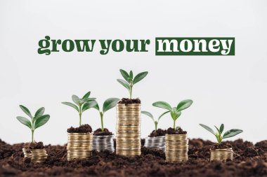 stacks of coins with soil and growing plants near grow your money inscription isolated on white, business concept clipart
