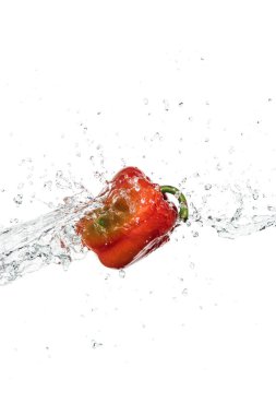 whole tasty fresh red bell pepper with clear water splash and drops isolated on white clipart