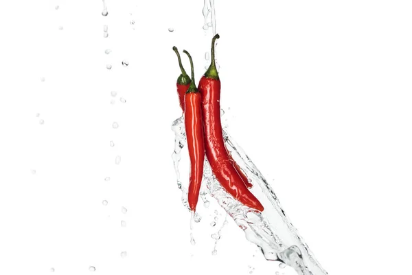 Helle Würzige Rote Chilischoten Mit Klarem Wasserspritzer Und Tropfen Isoliert — Stockfoto