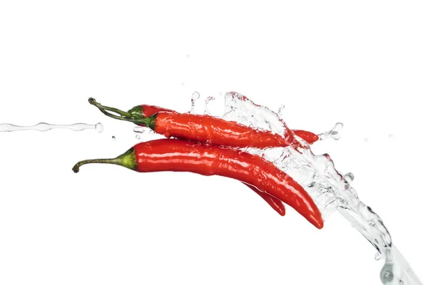 Red Chili Peppers Clear Water Stream Isolated White — Stock Photo, Image