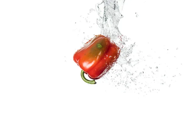 Tasty Fresh Red Bell Pepper Water Splash Drops Isolated White — Stock Photo, Image