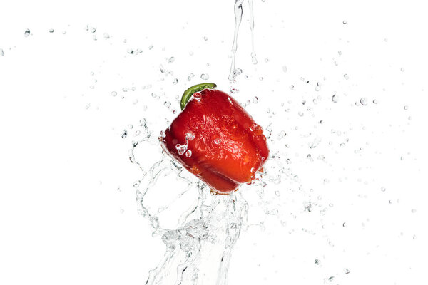 whole tasty red bell pepper with clear water splash isolated on white