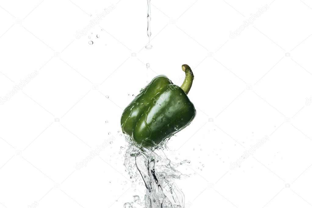 green fresh whole bell pepper with clear water splash isolated on white